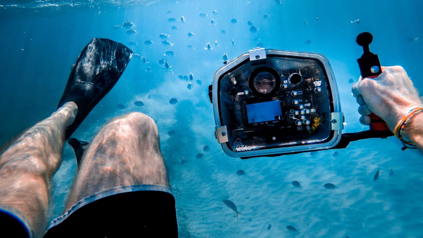 Basic underwater photography camera settings