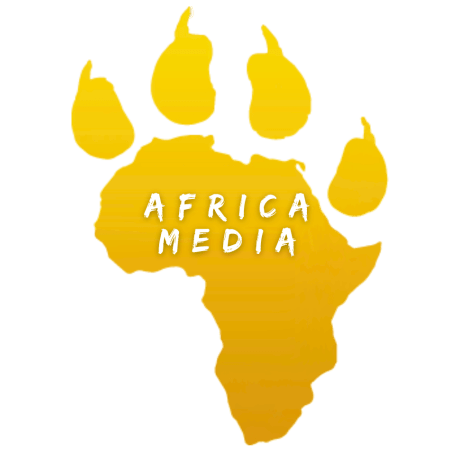 Career Guidance Archives Page 4 of 22 Africa Media Academy