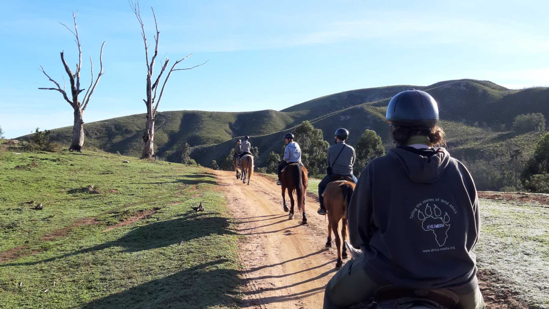 Weekend activities with Discovery at Africa Media