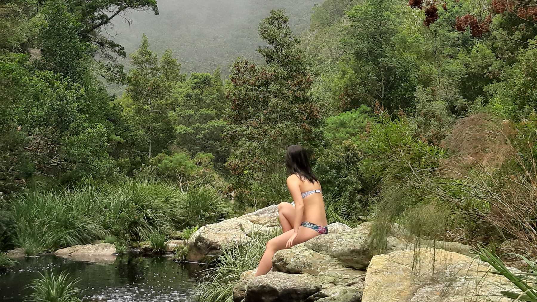 Forest bathing in Wilderness